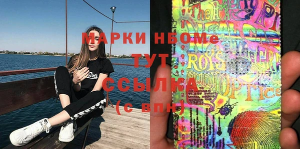 гашик Новозыбков