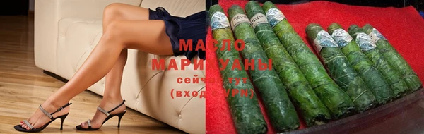 гашик Новозыбков