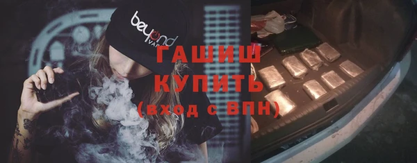 гашик Новозыбков