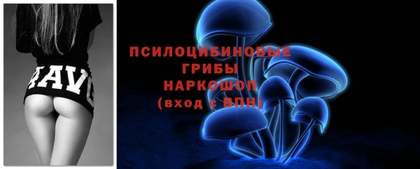 молекула духа Новодвинск