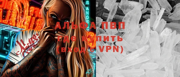 гашик Новозыбков