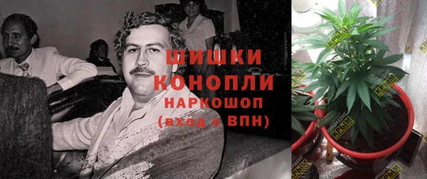 гашик Новозыбков