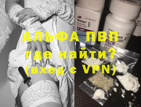 гашик Новозыбков