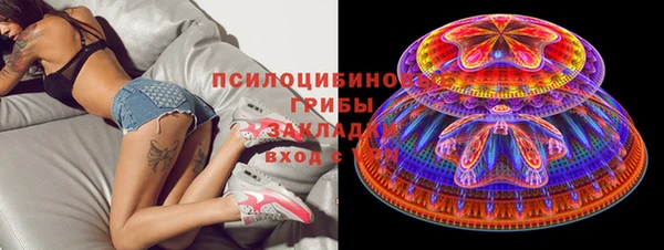 молекула духа Новодвинск