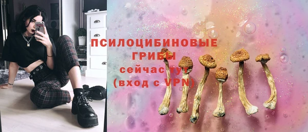 гашик Новозыбков