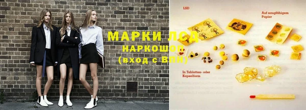 гашик Новозыбков