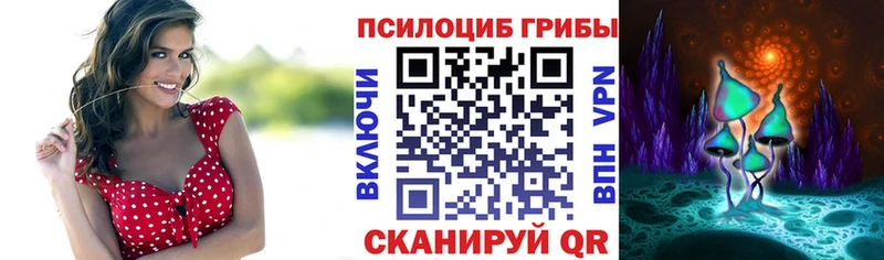 ОМГ ОМГ зеркало закладки Красный Холм Галлюциногенные грибы Magic Shrooms